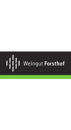 2016 Spätburgunder Bio - Weingut Forsthof