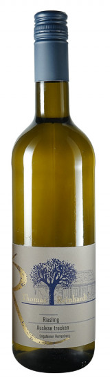 2023 Ungsteiner Herrenberg Riesling trocken - Weingut Thomas Reinhardt