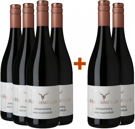 4+2 Schwarzriesling vom Muschelkalk trocken - Wein- und Sektgut Hirschmüller