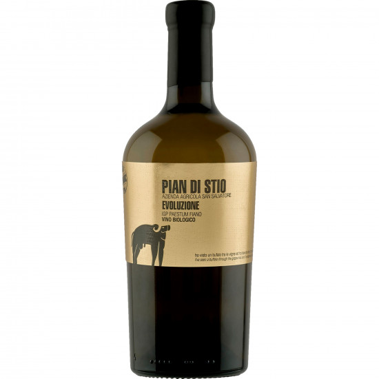 2020 San Salvatore Piani di Stio Evoluzione Fiano trocken Bio - Azienda Agricole San Salvatore