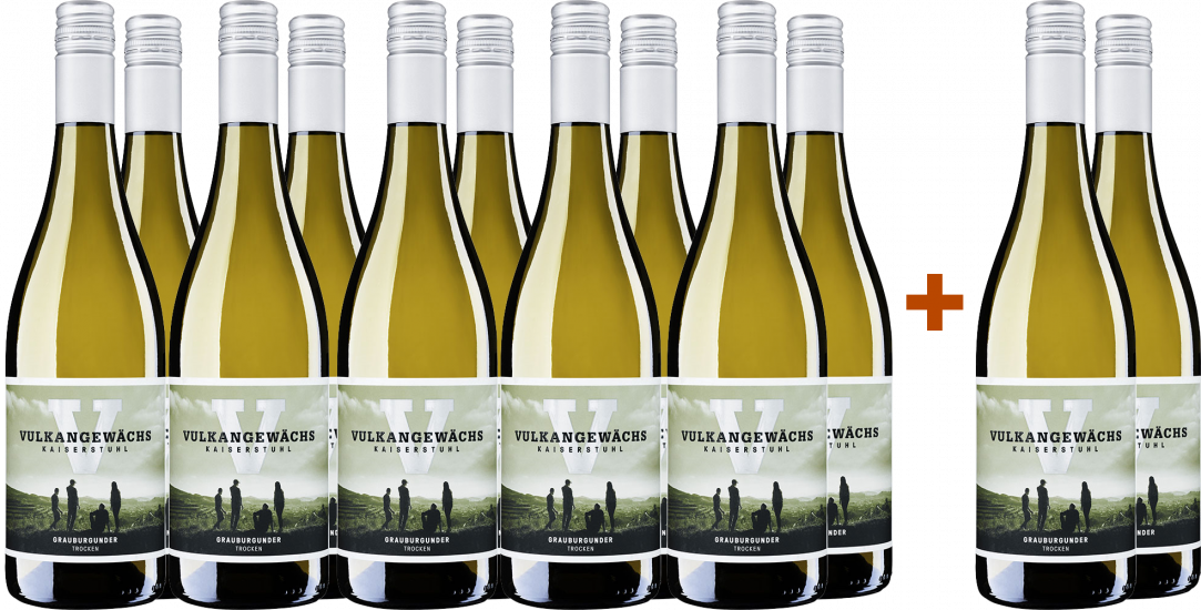 10+2 Paket Vulkangewächs Grauburgunder - Oberrotweiler Winzerverein