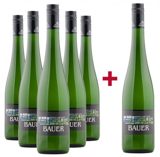 5+1 Wagramer Veltliner und Riesling Paket - Weingut Josef Bauer