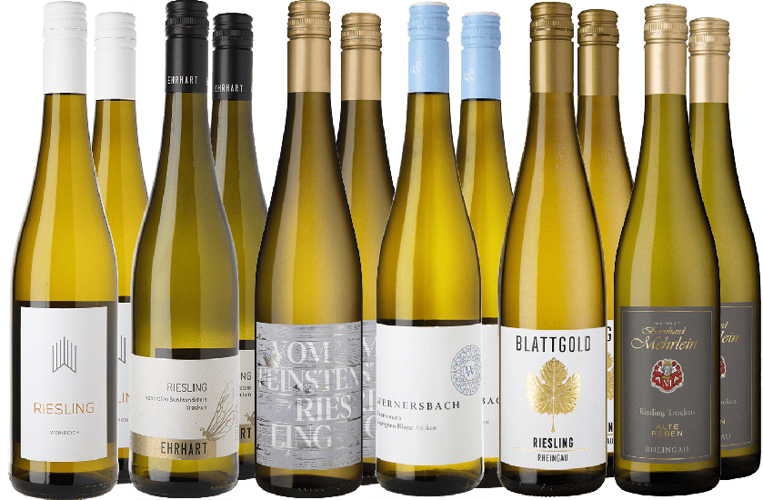 Großes Riesling Entdecker-Paket - WirWinzer Select