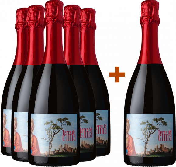 5+1 Paket Terre del Cima Conegliano Valdobbiadene Prosecco Superiore DOCG - Terre del Cima