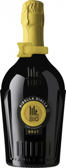 2022 Spumante Ribolla Gialla brut Bio - Mister Bio Wine