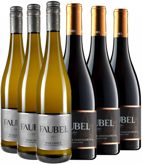 Probierpaket Burgunder trocken - Weingut Faubel