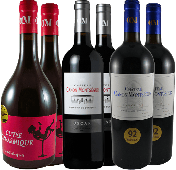 Sonderaktion Château Canon Montsegur - Château Canon Montsegur