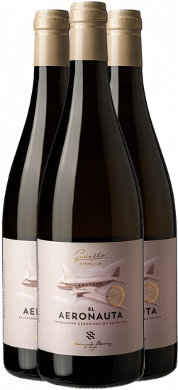 Aktionspaket Aeronauta Joven Valdeorras DO - El Aeronauta
