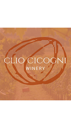2020 PANDORA trocken Bio - Clio Cicogni
