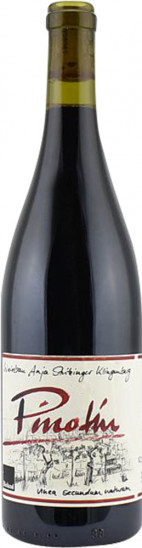2023 Klingenberger Pinotin trocken Bio - Weinbau Stritzinger