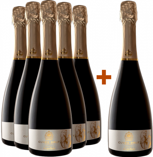 5+1 Paket Spumante Cuvèe Millesimato - Agricola Strapellum