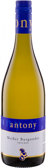 2023 Weißer Burgunder trocken - Weingut Antony Bechtheim