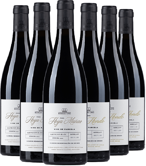 Pack Degustación Blancos Bodegas Cano Bio - Bodegas Cano