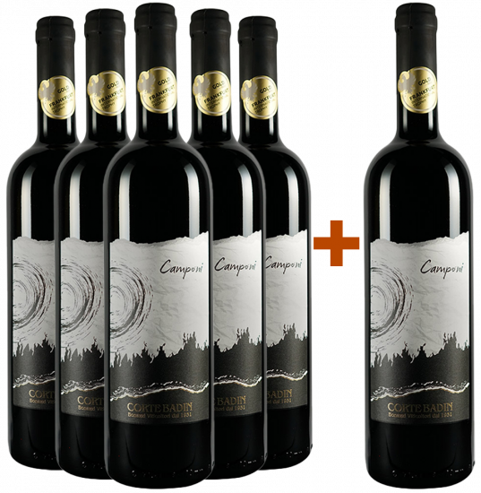 5+1 Paket I Camponi Veneto IGP - Corte Badin