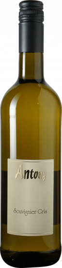 2024 Souvignier Gris - Weingut Antony