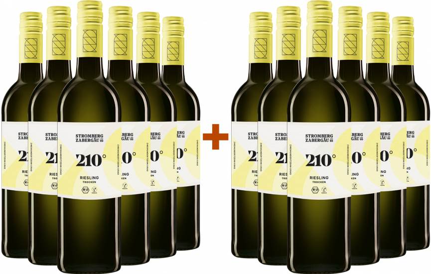6+6 Paket - 210° Erkundung Riesling BIO Bio - Weingärtner Stromberg-Zabergäu