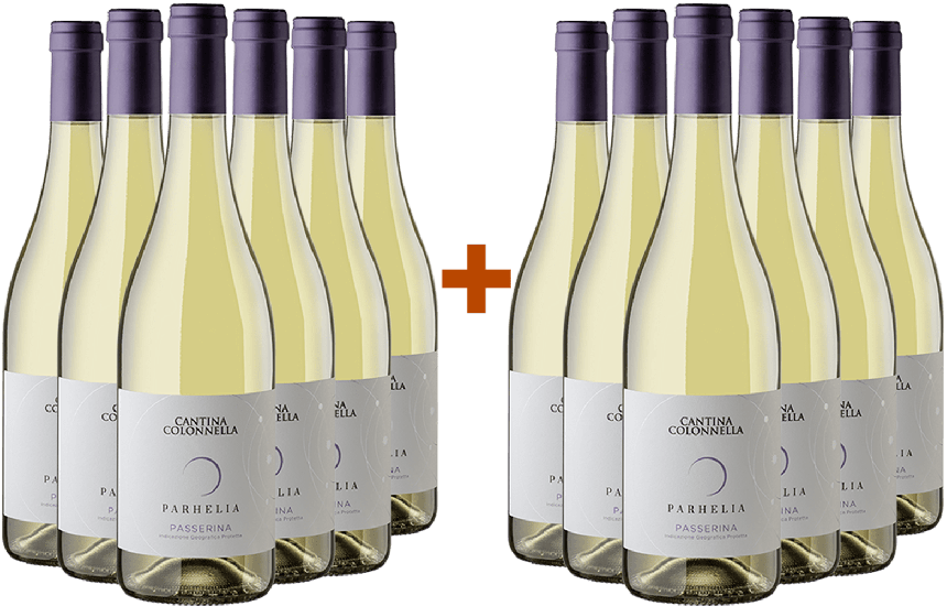 6+6 Paket Parhelia Passerina Colli Aprutini IGP - Cantina Colonnella