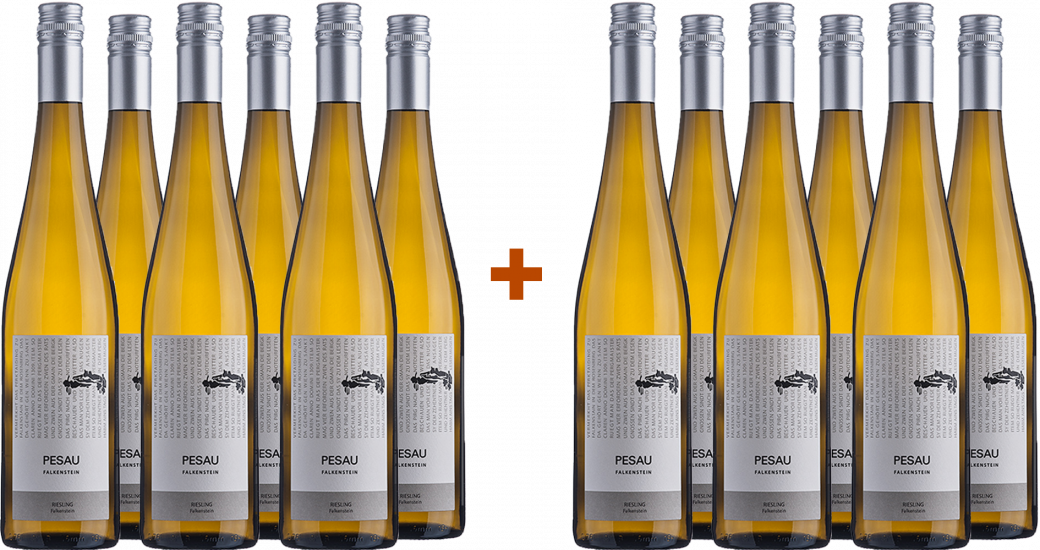 6+6 Paket 2023 Riesling Falkenstein trocken Bio Bio - Weingut Pesau