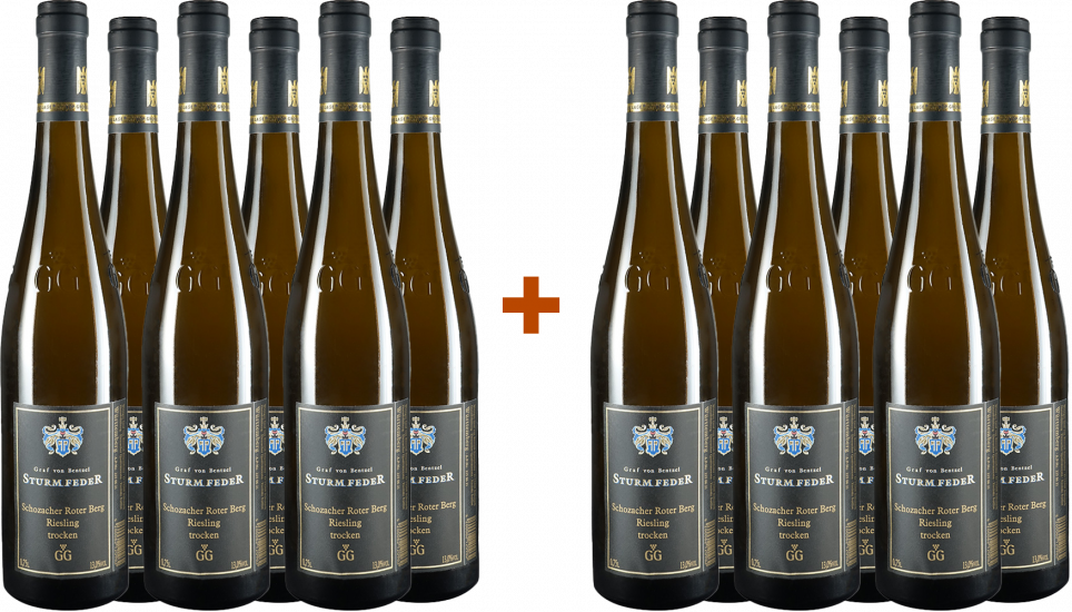 6+6 Paket Riesling Großes Gewächs trocken - Weingut Graf von Bentzel-Sturmfeder