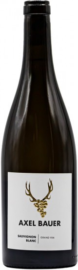 2019 Sauvignon Blanc 