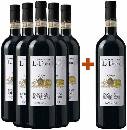 5+1 Paket San Luigi Cavagnè Dogliani Superiore DOCG - La Fusina