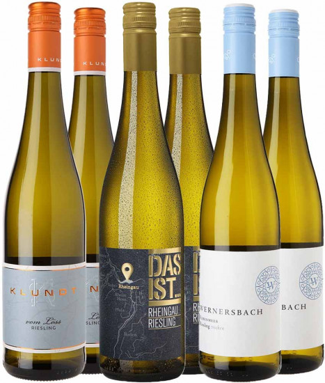 Riesling Entdecker-Paket 