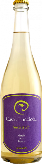 2024 Ancestrale Marche IGP trocken Bio - Casa Lucciola