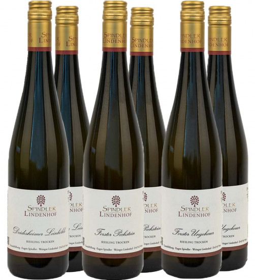  Riesling Terroir Kennenlern-Paket - Eugen Spindler Weingut Lindenhof