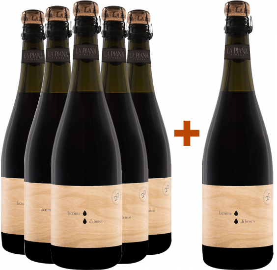 5+1 Paket Lacrime di Bosco Lambrusco Grasparossa di Castelvetro DOC Bio - La Piana Winery