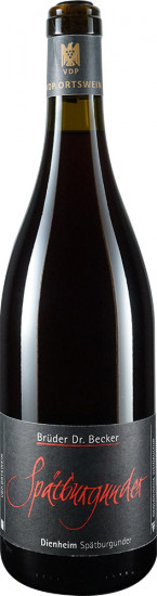 2020 Dienheim Spätburgunder VDP.ORTSWEIN trocken Bio - Weingut Brüder Dr. Becker