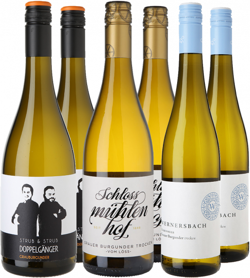 Grauburgunder Entdecker-Paket