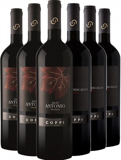 Cantina Coppi Primitivo Paket - Cantina Coppi