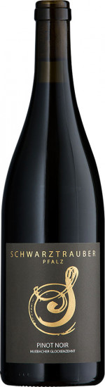 2024 Pinot Noir Mußbacher Glockenzehnt trocken Bio - Weingut Schwarztrauber
