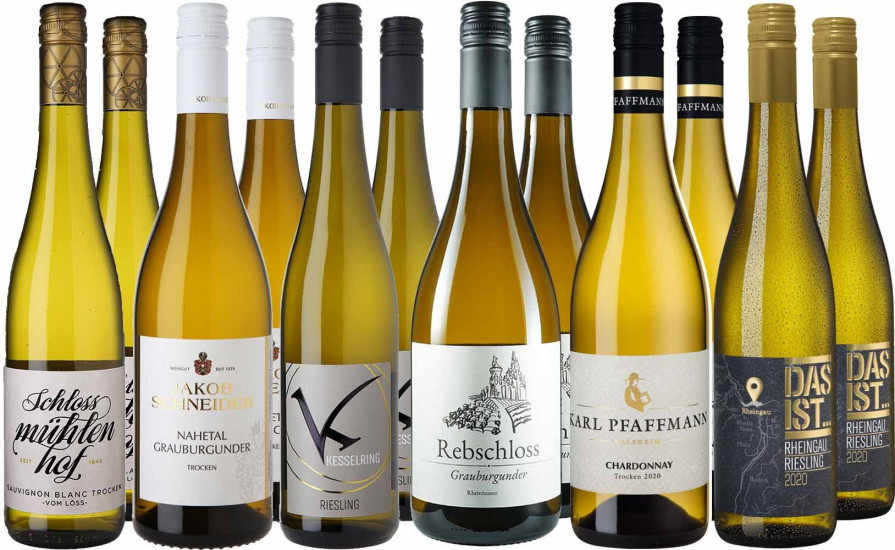 Großes Weißwein Entdecker-Paket 