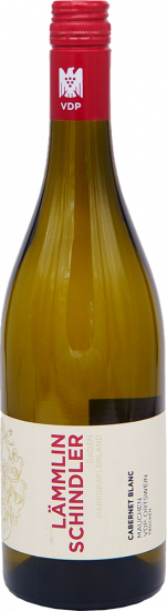 2024 Mauchen Cabernet Blanc Ortswein trocken Bio - Weingut Lämmlin-Schindler