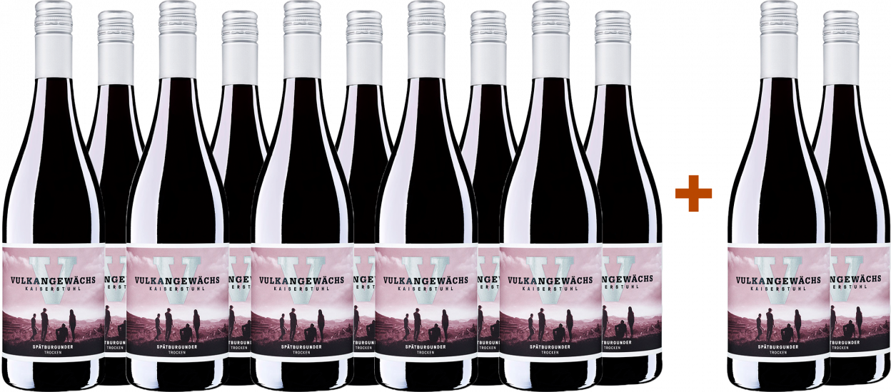 10+2 Paket 2022 Vulkangewächs Spätburgunder trocken - Oberrotweiler Winzerverein