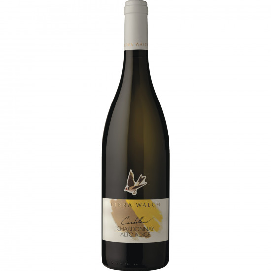 2024 Cardellino Chardonnay trocken - Elena Walch