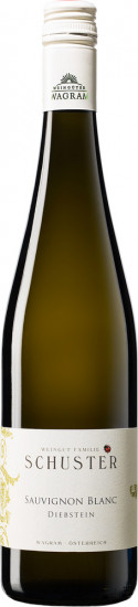 2020 Ried Diebstein Sauvignon Blanc Bio - Weingut Familie Schuster