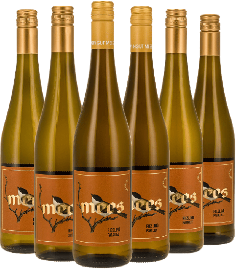 Probierpaket Riesling - Weingut Mees