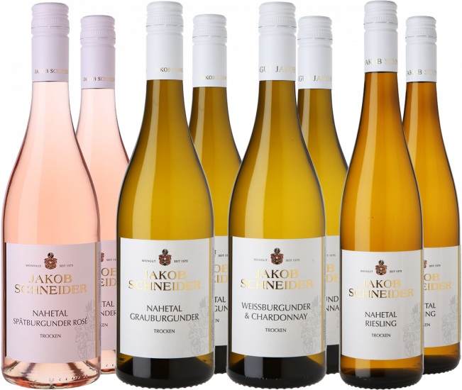 Jakob Schneider Kennenlern-Paket - Weingut Jakob Schneider