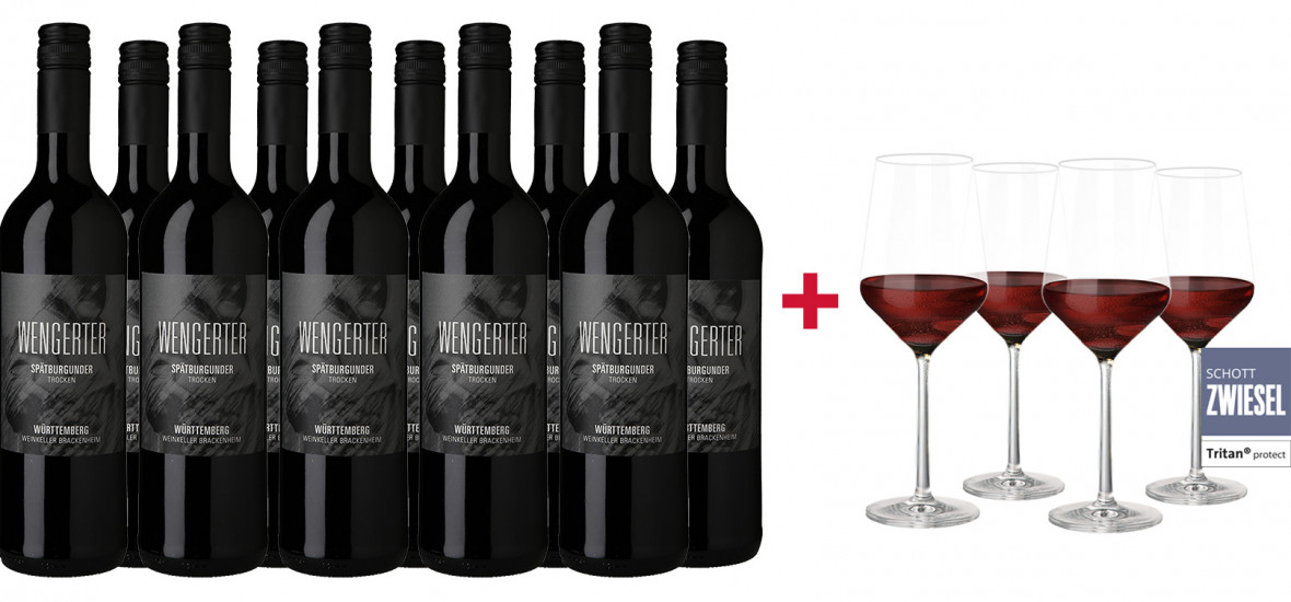 Wengerter Spätburgunder trocken Paket + Gratis 4er Set Schott Zwiesel PURE Rotweingläser