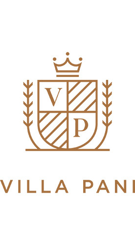 2020 Barolo Nebbiolo trocken - Villa Pani