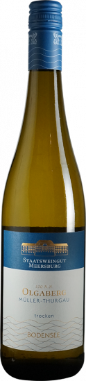 2023 Hohentwieler Olgaberg Müller-Thurgau *BIO trocken - Staatsweingut Meersburg