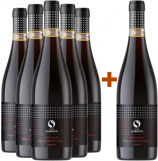 5+1 Paket Amarone della Valpolicella Classico DOCG - Corte Saibante