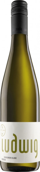 2020 Sauvignon Blanc trocken - Weingut Gebrüder Ludwig