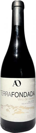 2020 TerraFondada Bierzo DO trocken - Anibal de Otero