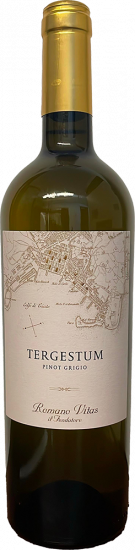 2023 Tergestum Pinot Grigio Friuli DOC trocken - Villa Vitas