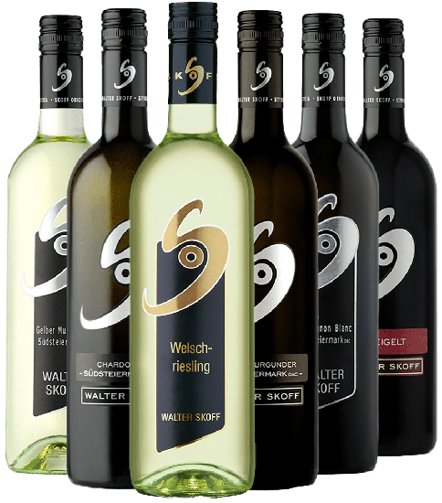 Kennenlernpaket - Weingut Walter Skoff