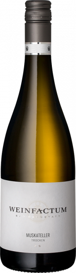 2023 Muskateller ** trocken - Weinfactum