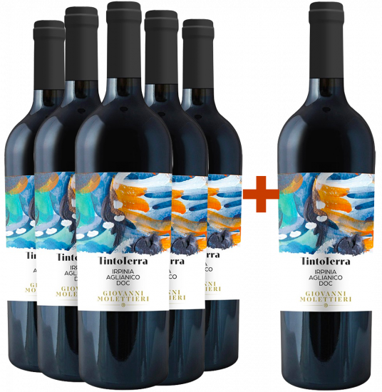5+1 Paket Tintoterra Aglianico Irpinia DOC - Giovanni Molettieri